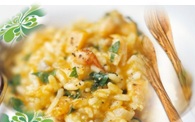Risotto alla Zucca